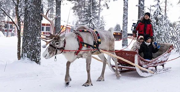 the-ultimate-christmas-bucket-list-8-ideas-for-holiday-mid-content-1